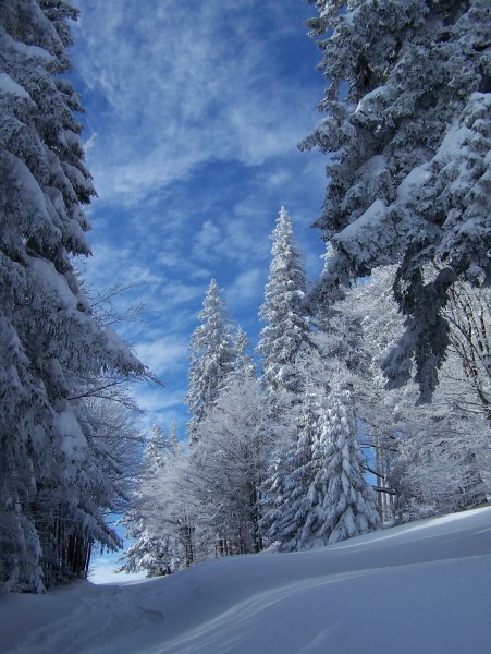 Téli idill - Kattints a képre a nagyításhoz