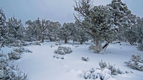 Kép: Grand Canyon National Park