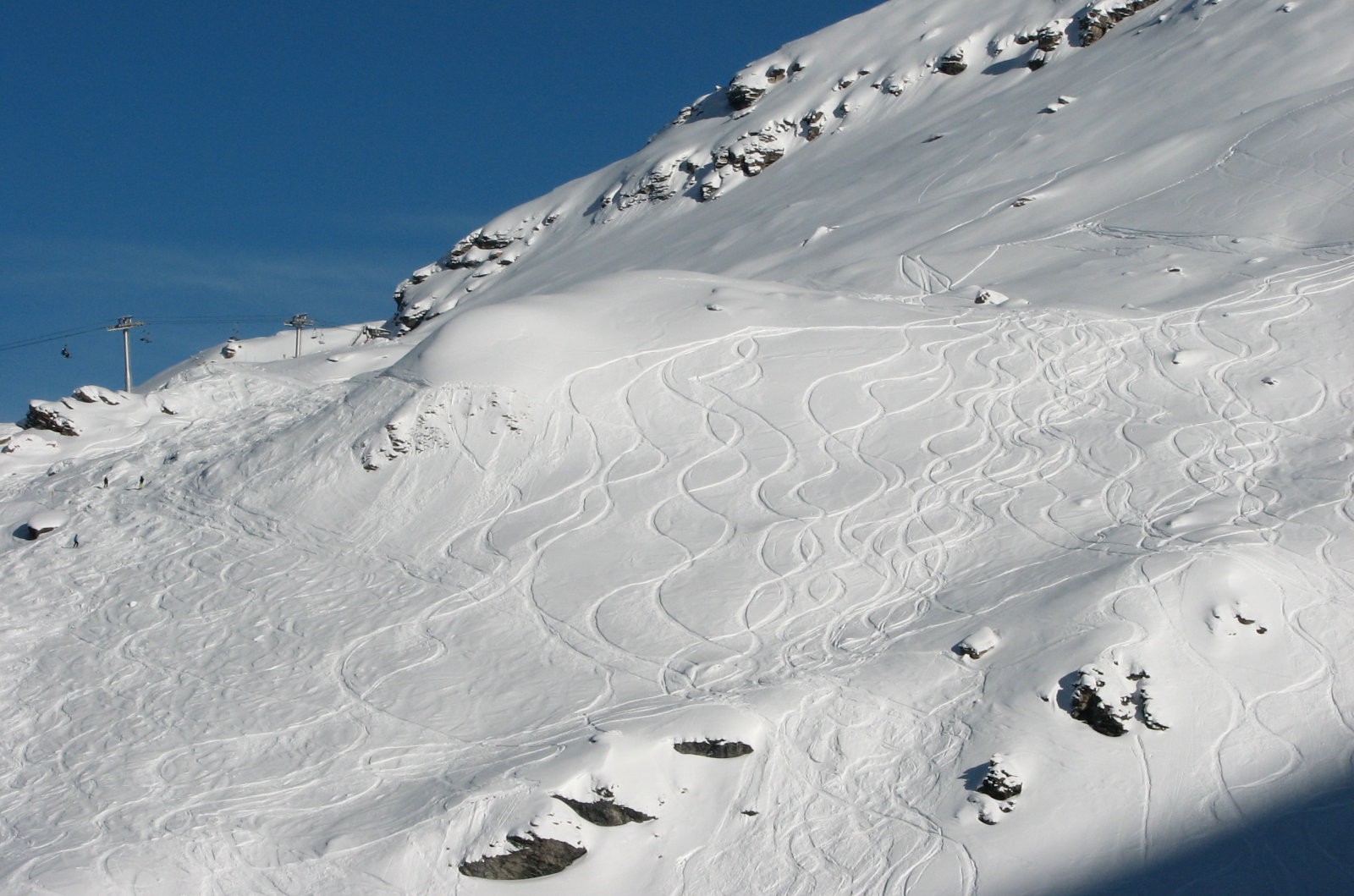 IMG-5333.JPG