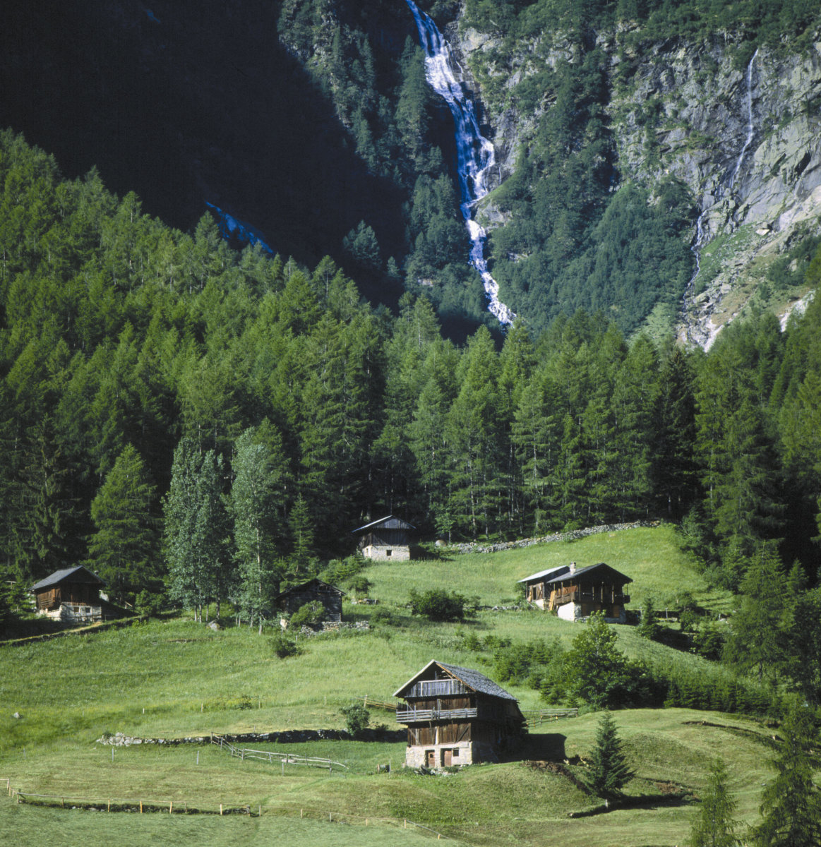 APT-VAL-DI-SOLE--CASCATA-VALORZ-in-Val-di-Rabbi--A.-Dalpez.jpg