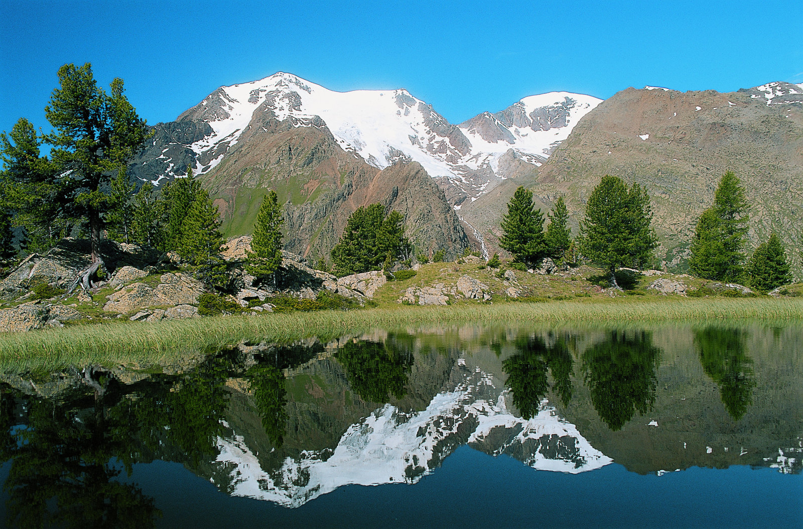 APT-VAL-DI-SOLE--LAGO-DELLE-LAME-Peio--T.-Mochen.jpg