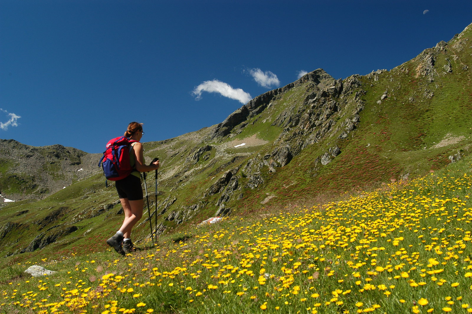 APT-VAL-DI-SOLE--TREKKING--T.-Mochen.JPG