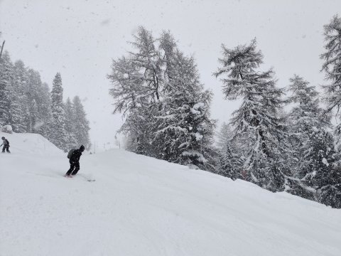 Foret pálya (Grimetz)