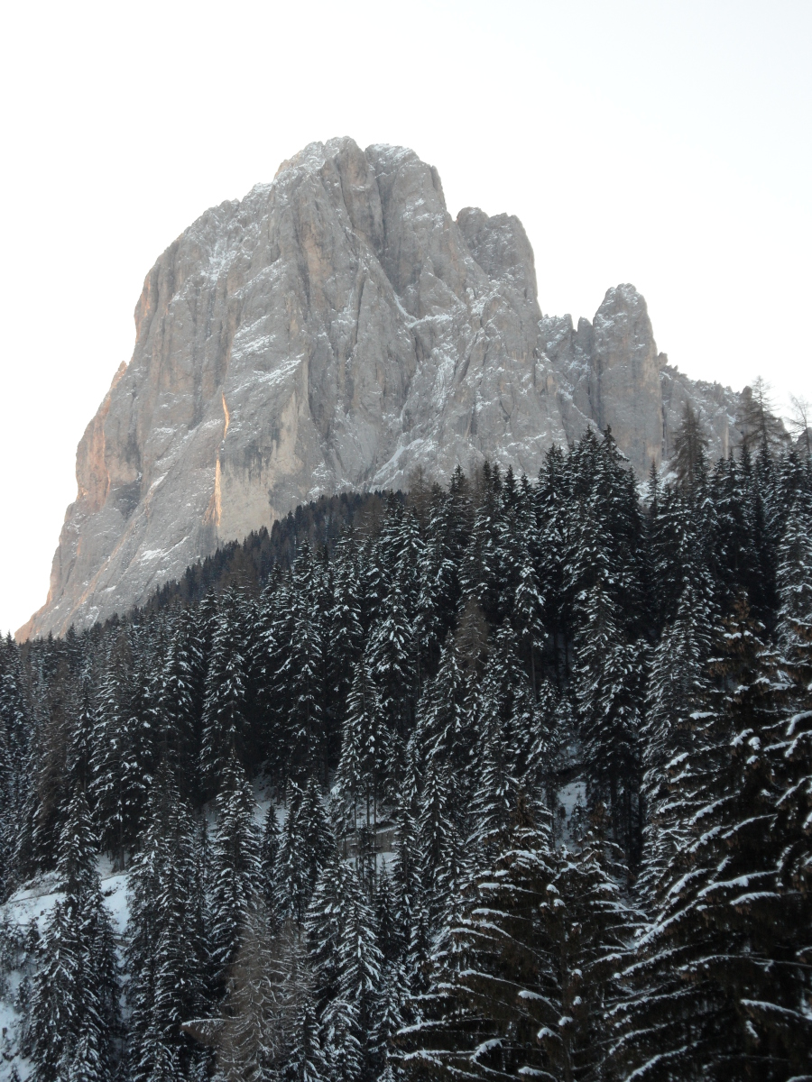 Sassolungo S. Cristina-ból