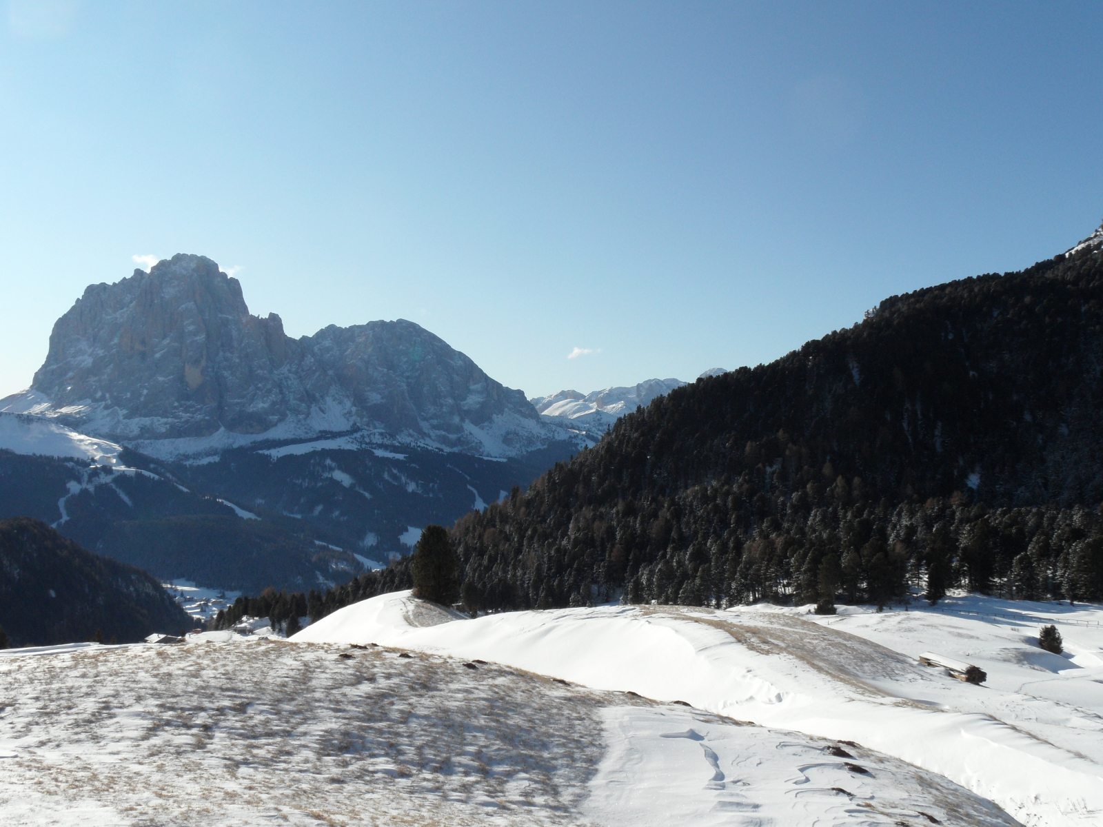 Gardenissima-n lefelé