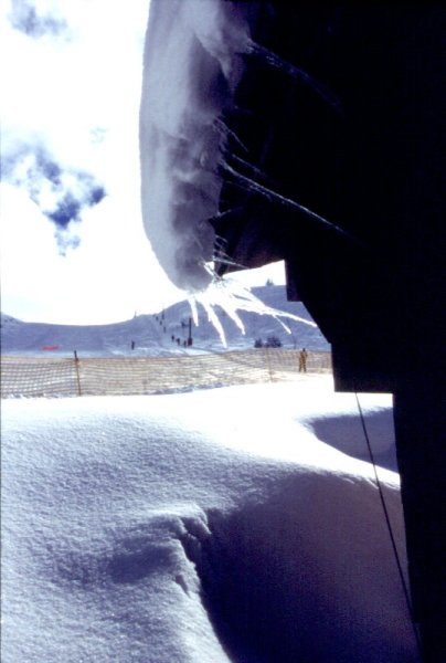 Természet művészi alkotása