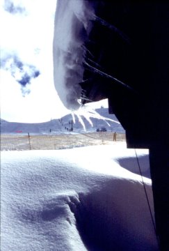 Természet művészi alkotása