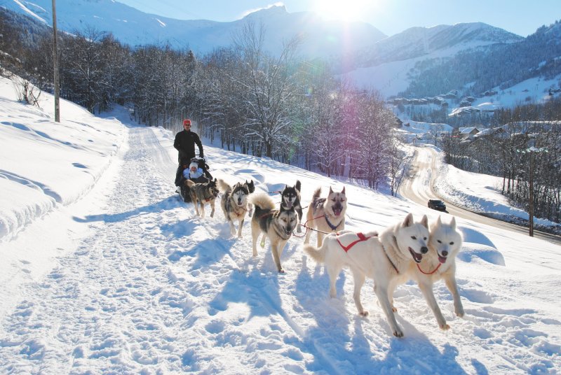 U00a9Escapades-nordiques-Valmorel-dog-sledge.jpg