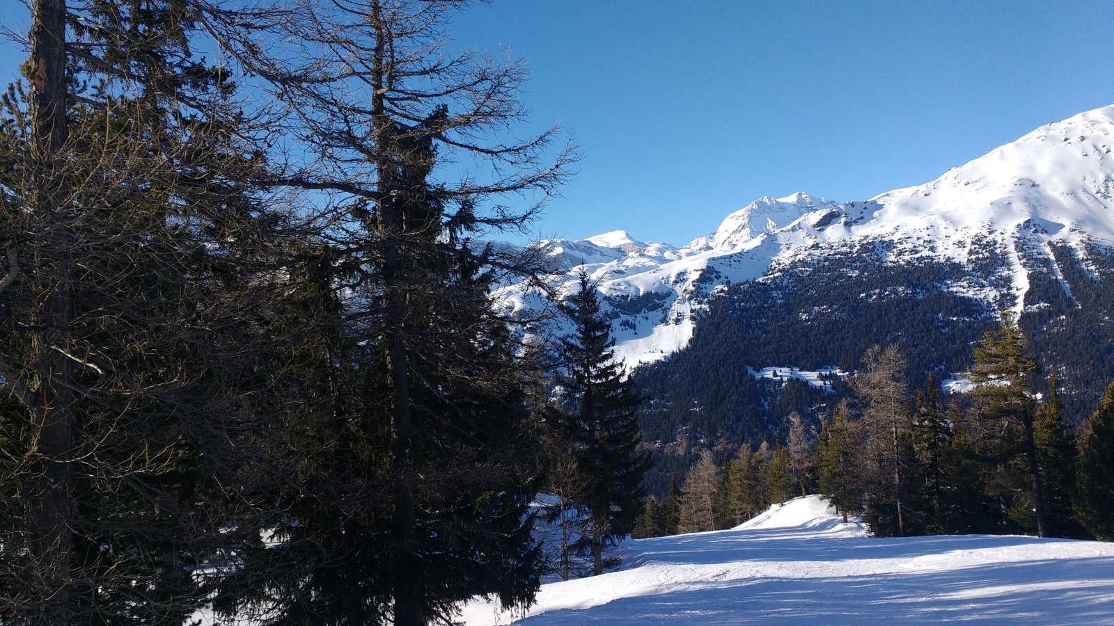 IMG-20180314-170001818.jpg