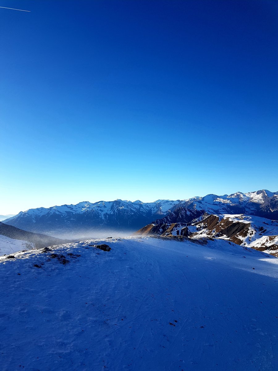 20220131-004727.jpg