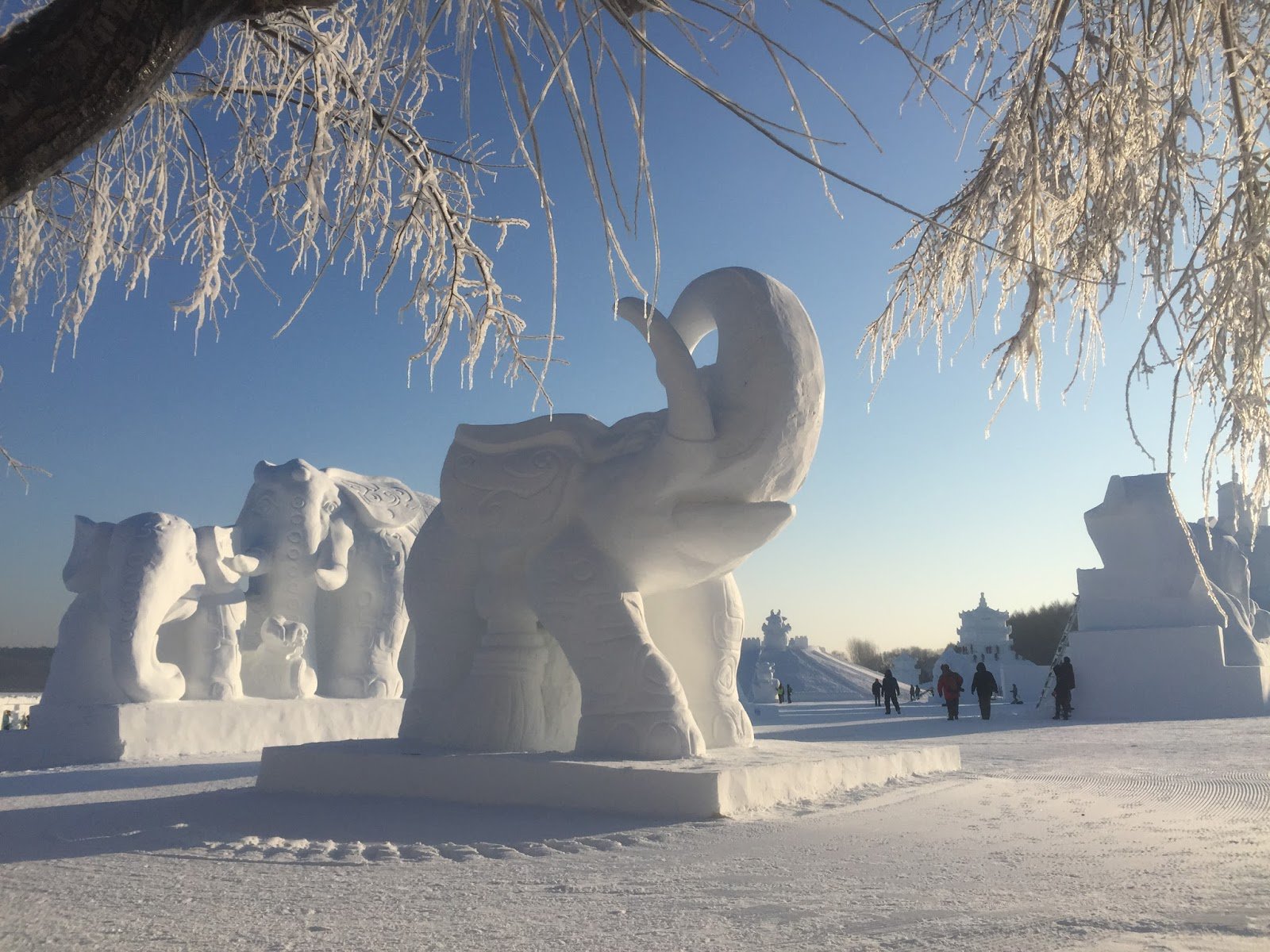 Hatalmas élmény ilyen kulisszák között versenyezni, ilyet szerintem nem sokan mondhatnak el magukról. Ilyen díszlet nem sok helyen van!