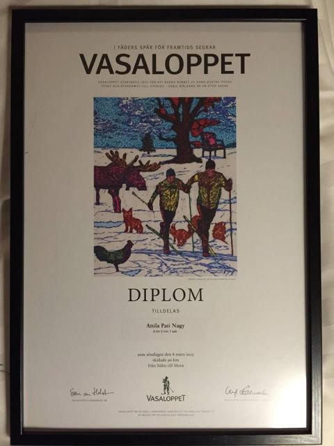 Vasaloppet Diploma 2015