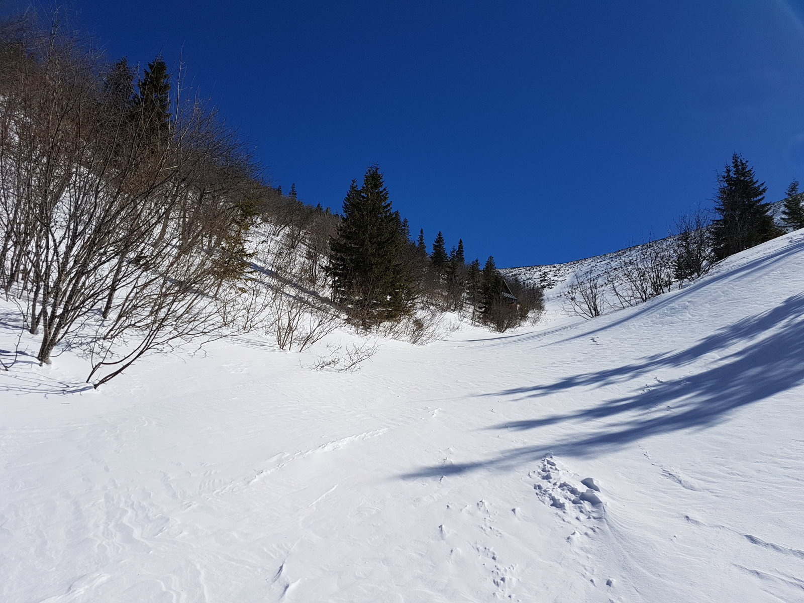 A Trangoška parkolótól a Štefánika-házhoz vezető útról letértem jobbra