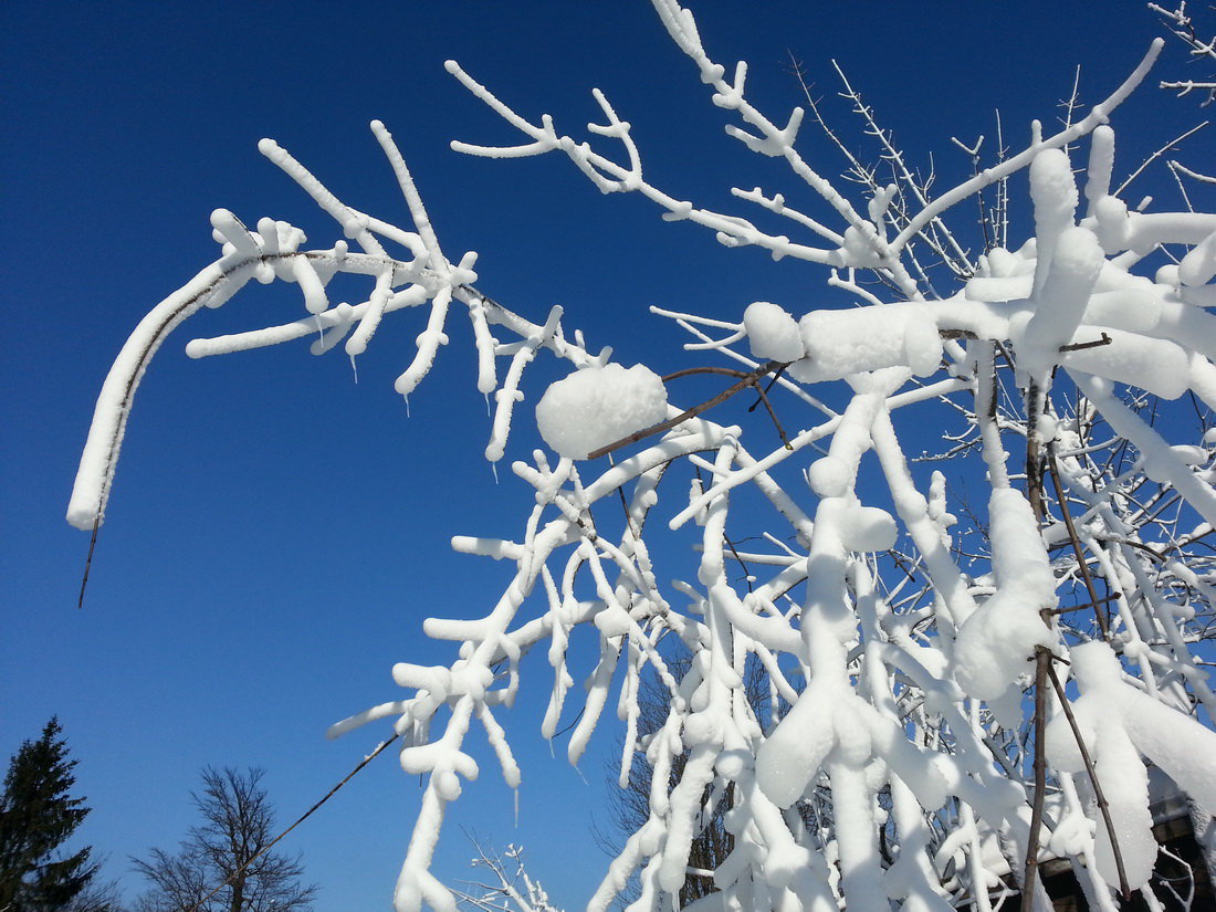 Vénasszony-hágó (Pezinská Baba)