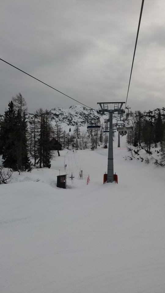 10949789-407129706132891-644488690-n.jpg