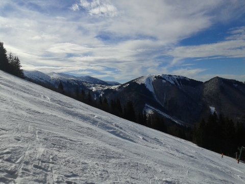 A grúni 13-as pálya