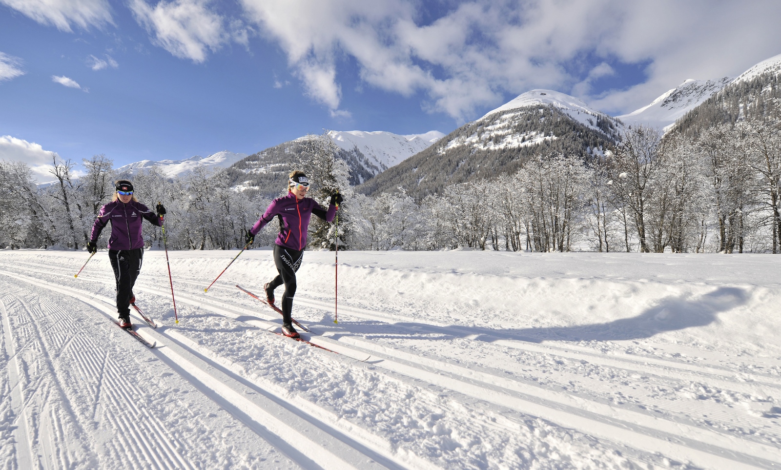 Sífutók Obergomsban, Wallis Kantonban