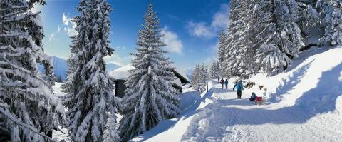 Séta az Aletsch régióban