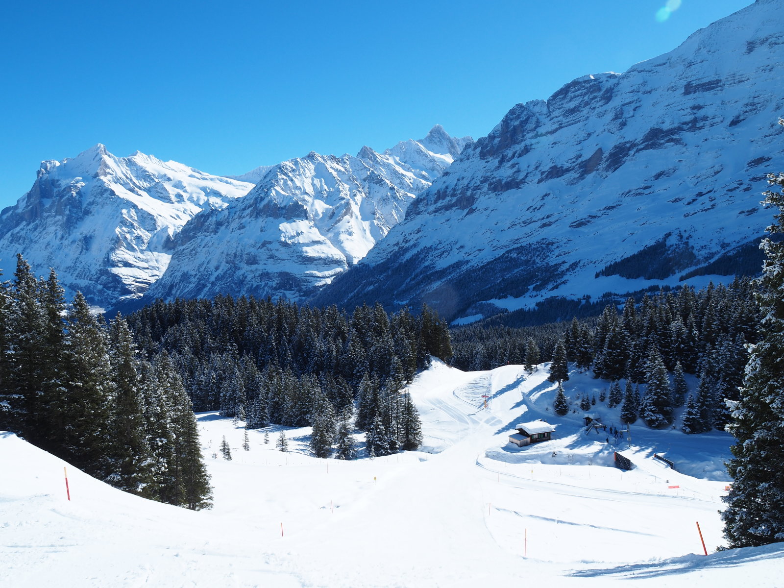 a grindelwaldi rész