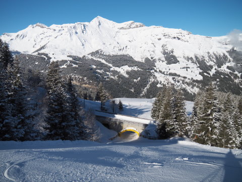 a vasút alatt visz az út