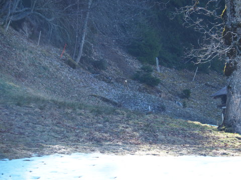 A Slalom pálya mellett "helyiek" voltak