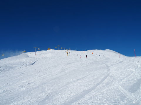 Wixi "felszántott" pályája