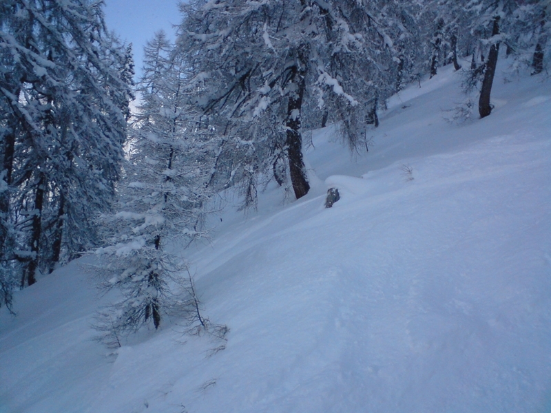 Ritka erdő a Bischling felvonó közelében