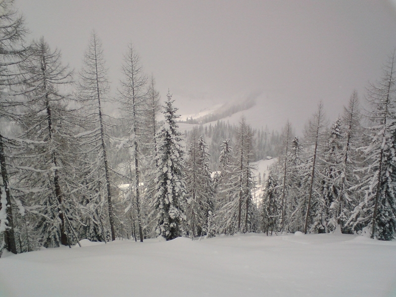 Tisztás a 3a pályáról balra letérve