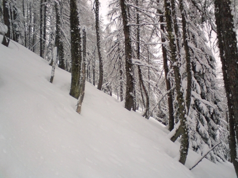 Ez a hely lett a kedvencünk (03.19)