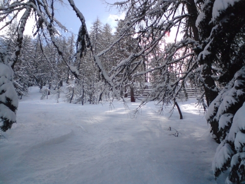 Porhó március 20-án