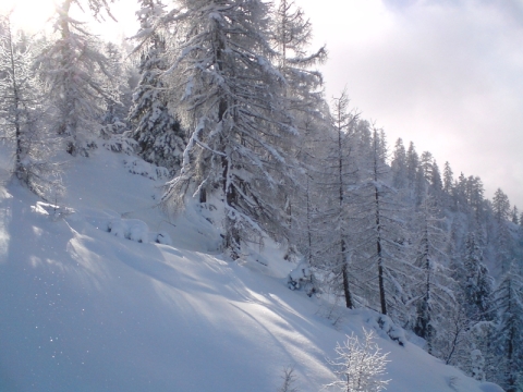 A Bischling felvonó mellett