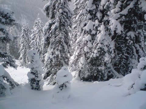 Tisztás az 1-es pályától jobbra