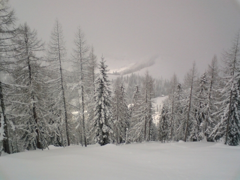 Tisztás a 3a pályáról balra letérve