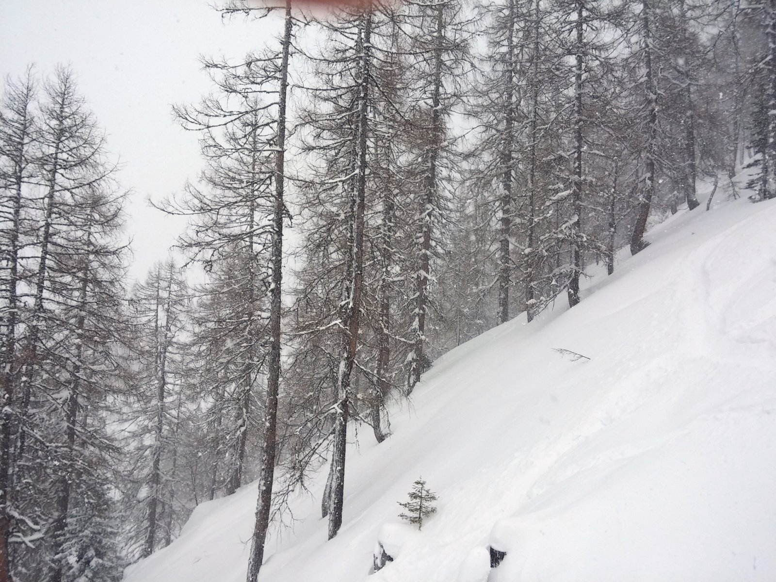 Balra a megmaradt erdő.