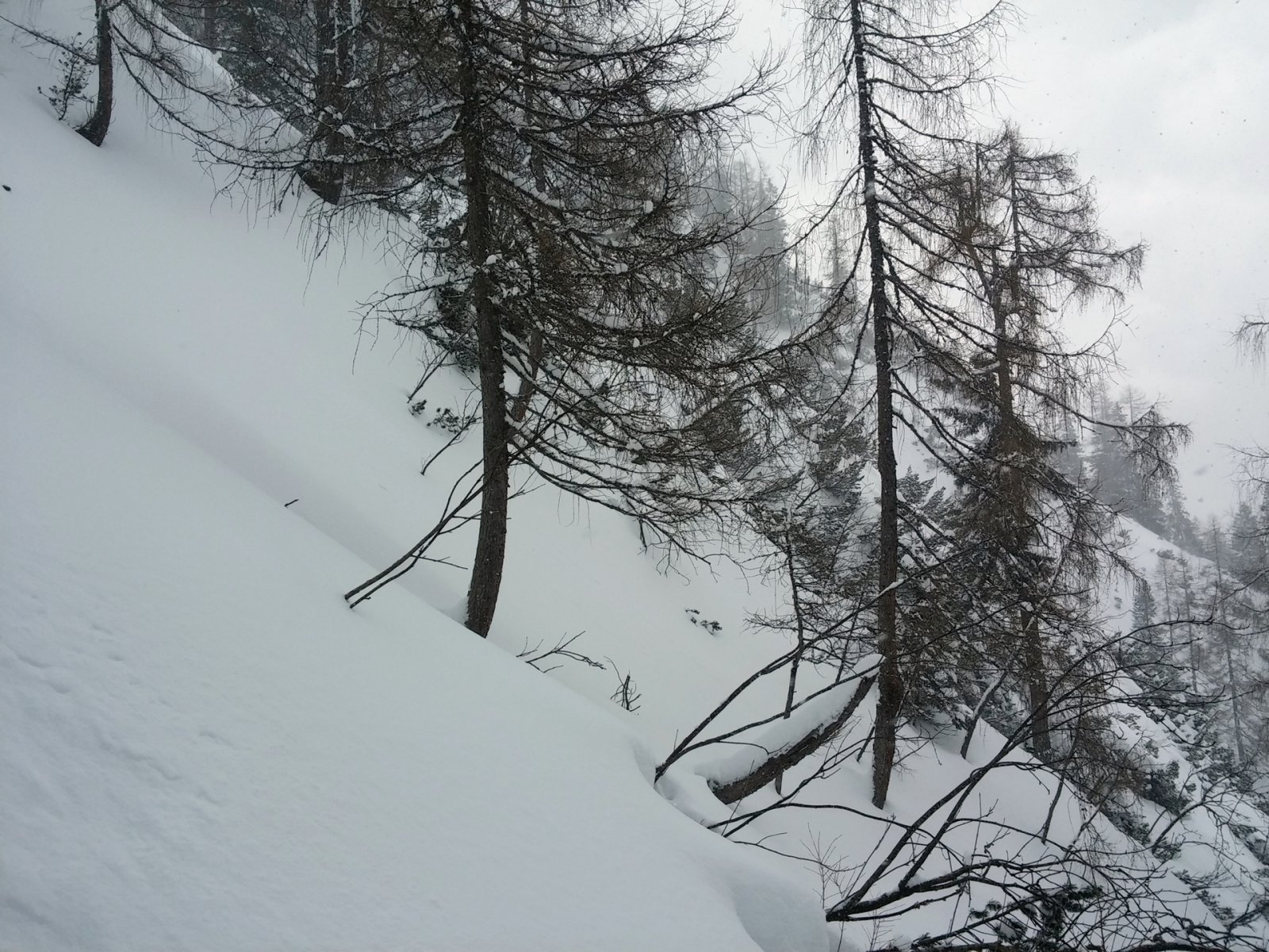 Az egyik oldalágban.