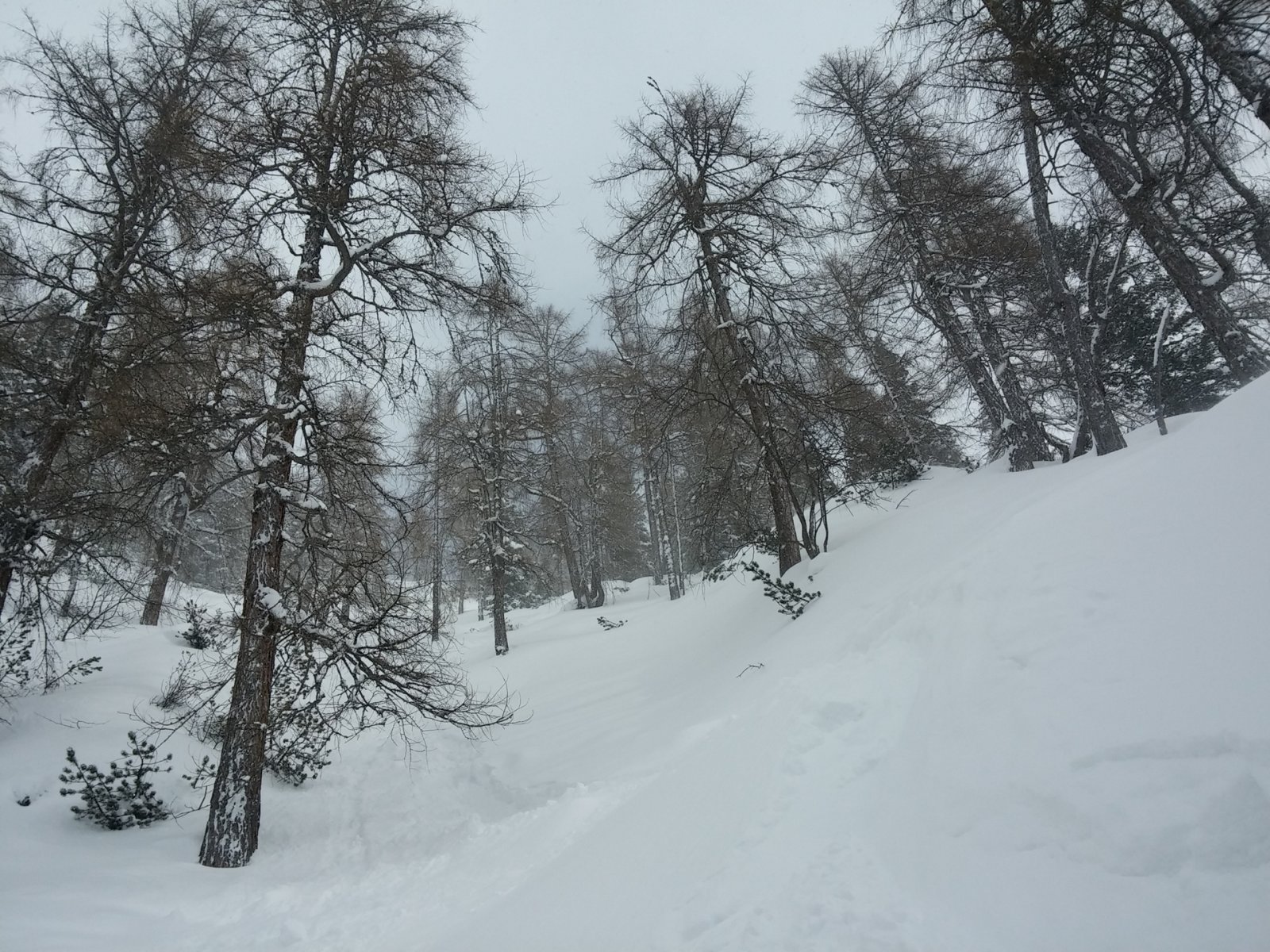 Fokozatosan próbálkoztam a szélétől óvatosan egyre beljebb.