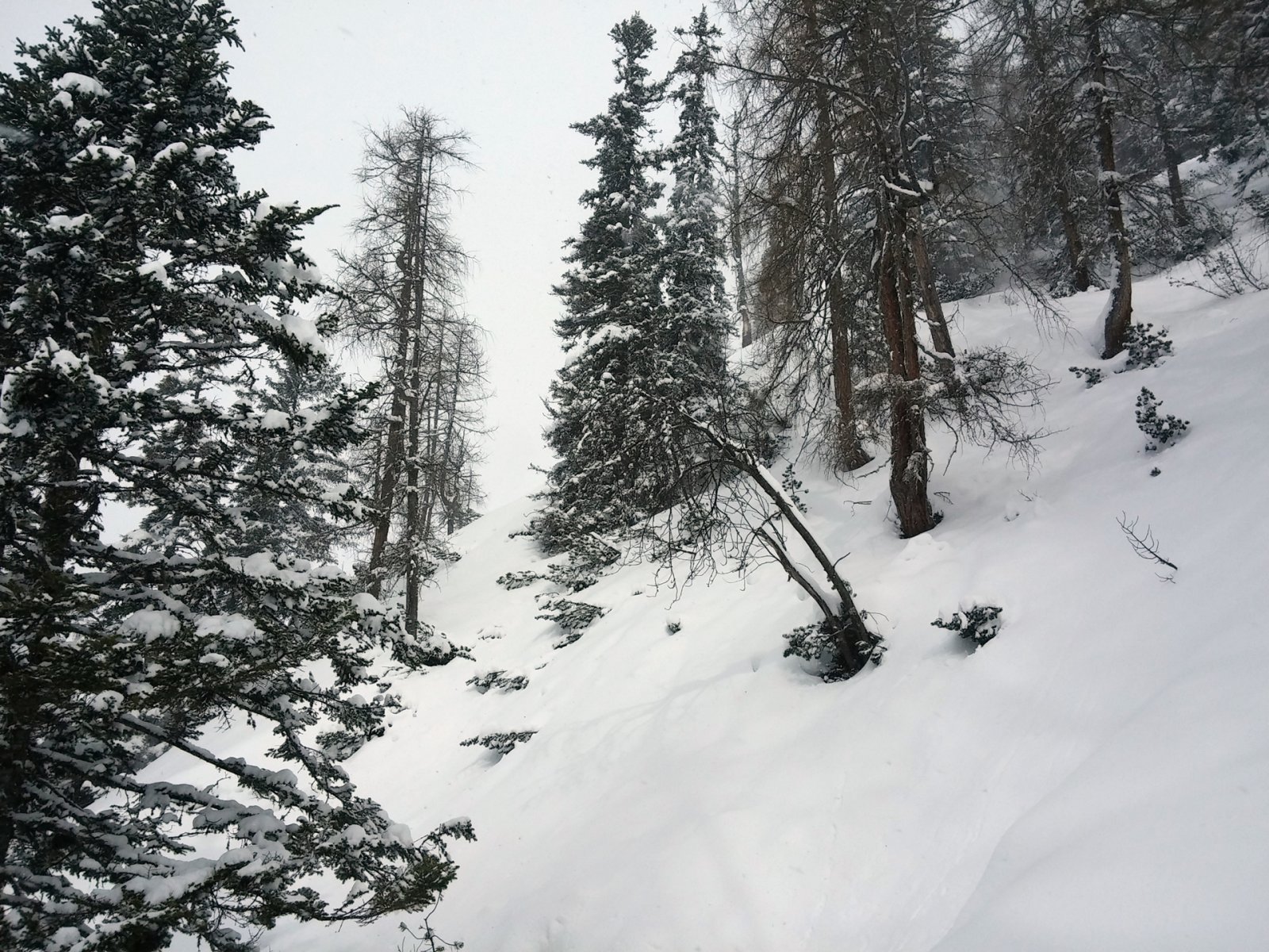 Az ilyen terepet értékelem a legtöbbre.