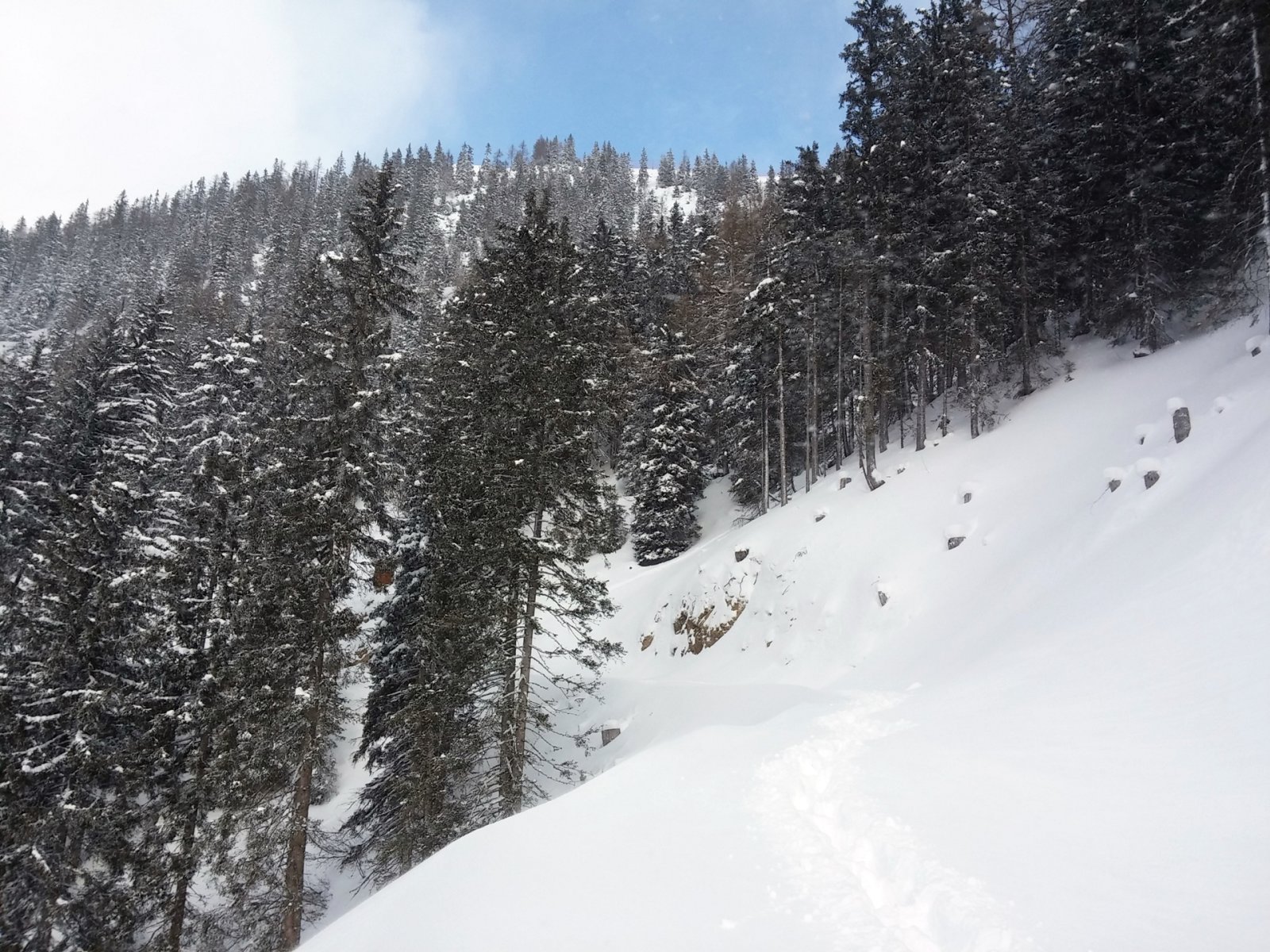 A kabinos felvonó másik oldalán balra tartva van egy irtás.