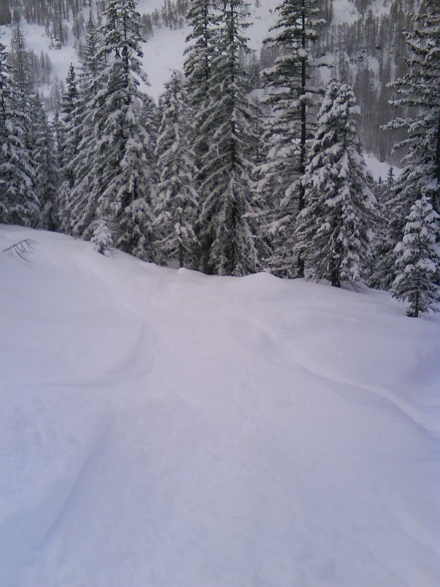 DSC00377.JPG