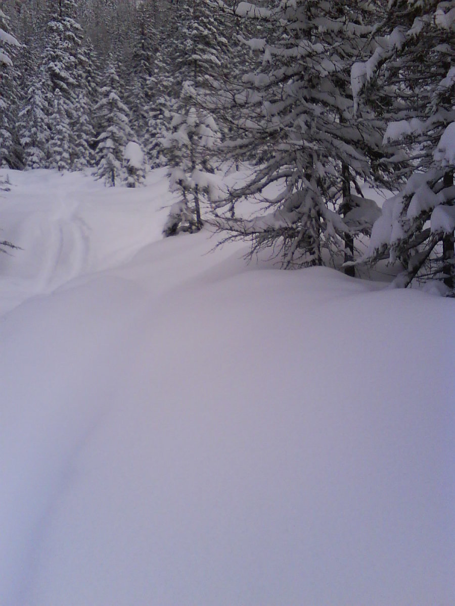 DSC00378.JPG