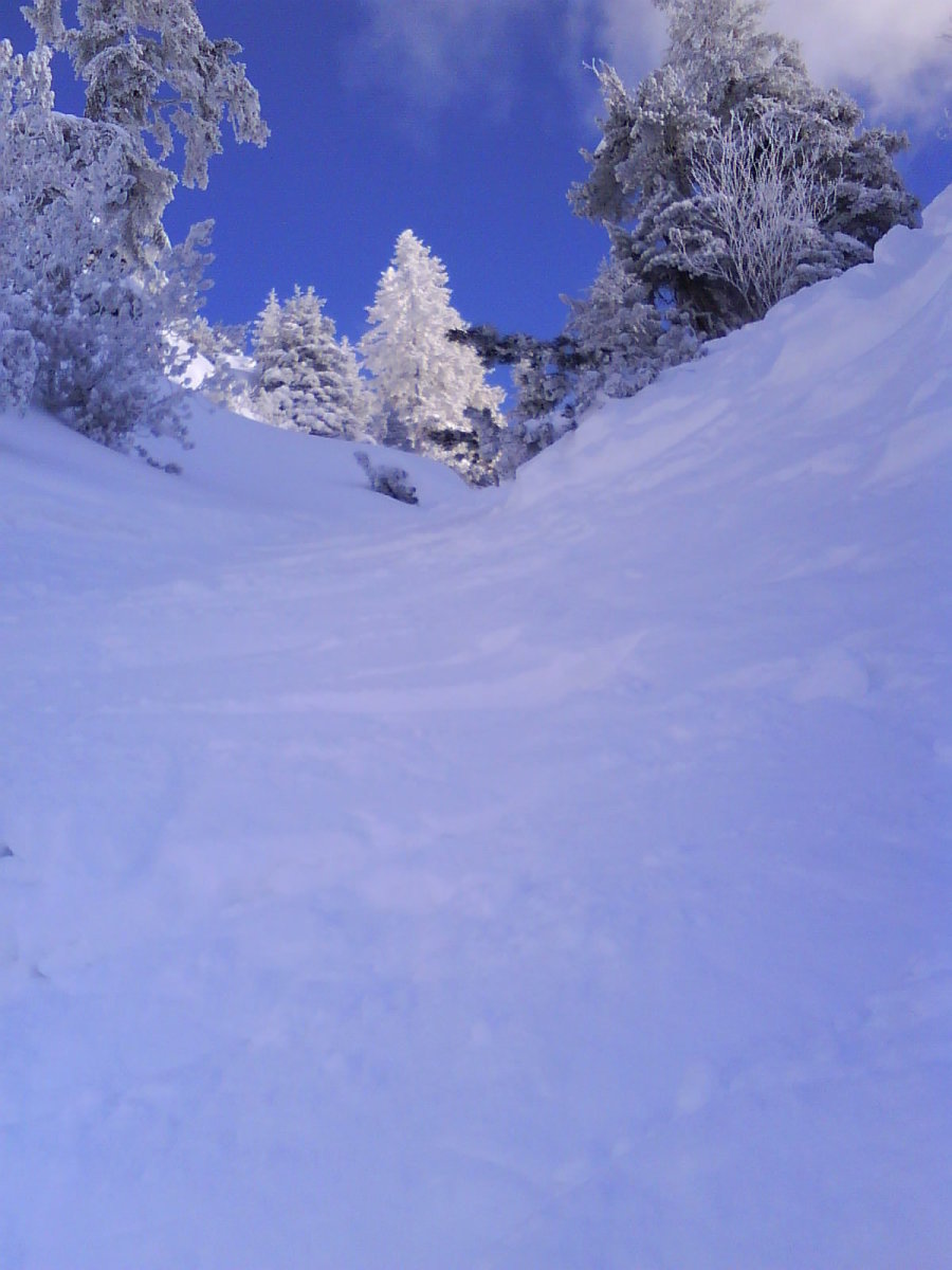 DSC00384.JPG