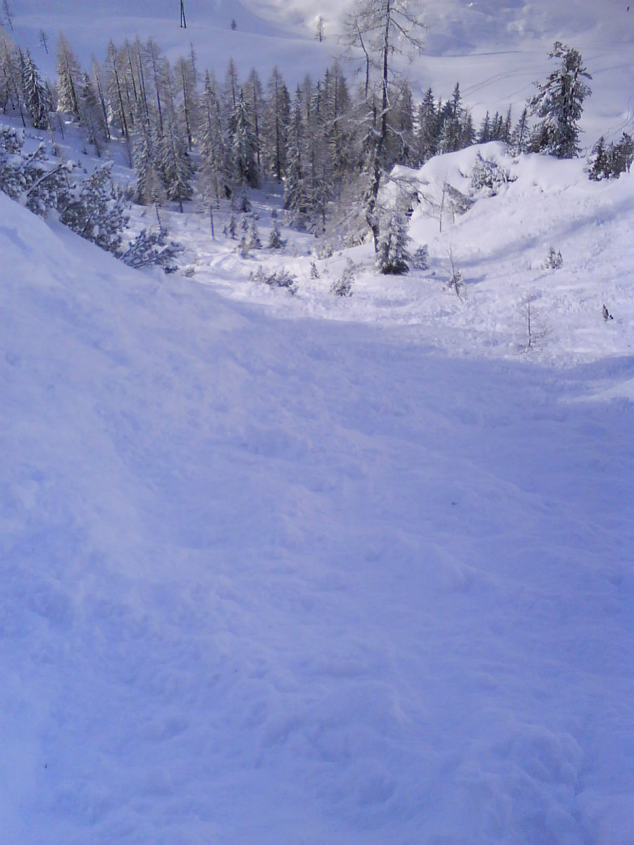 DSC00385.JPG