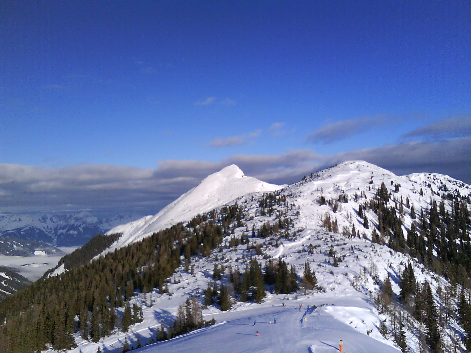 DSC00393.JPG