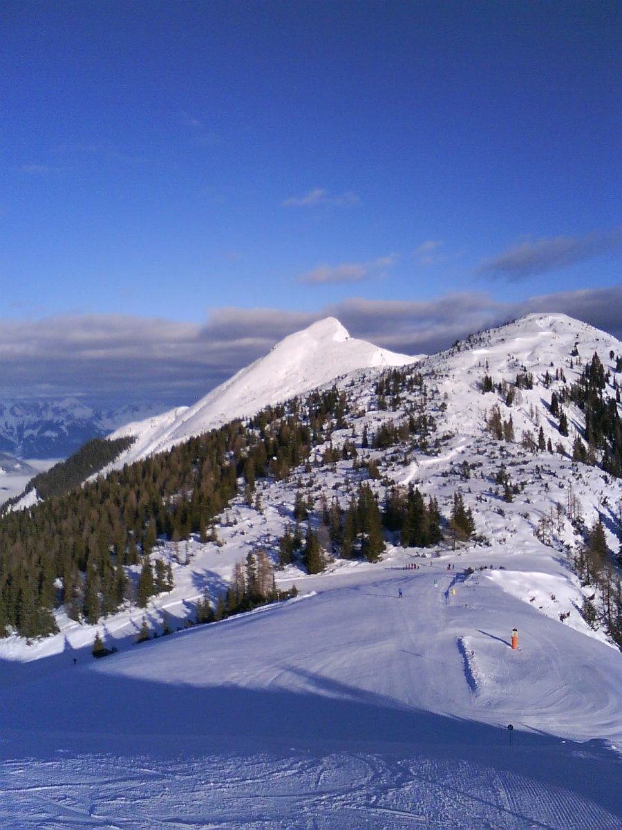 DSC00394.JPG