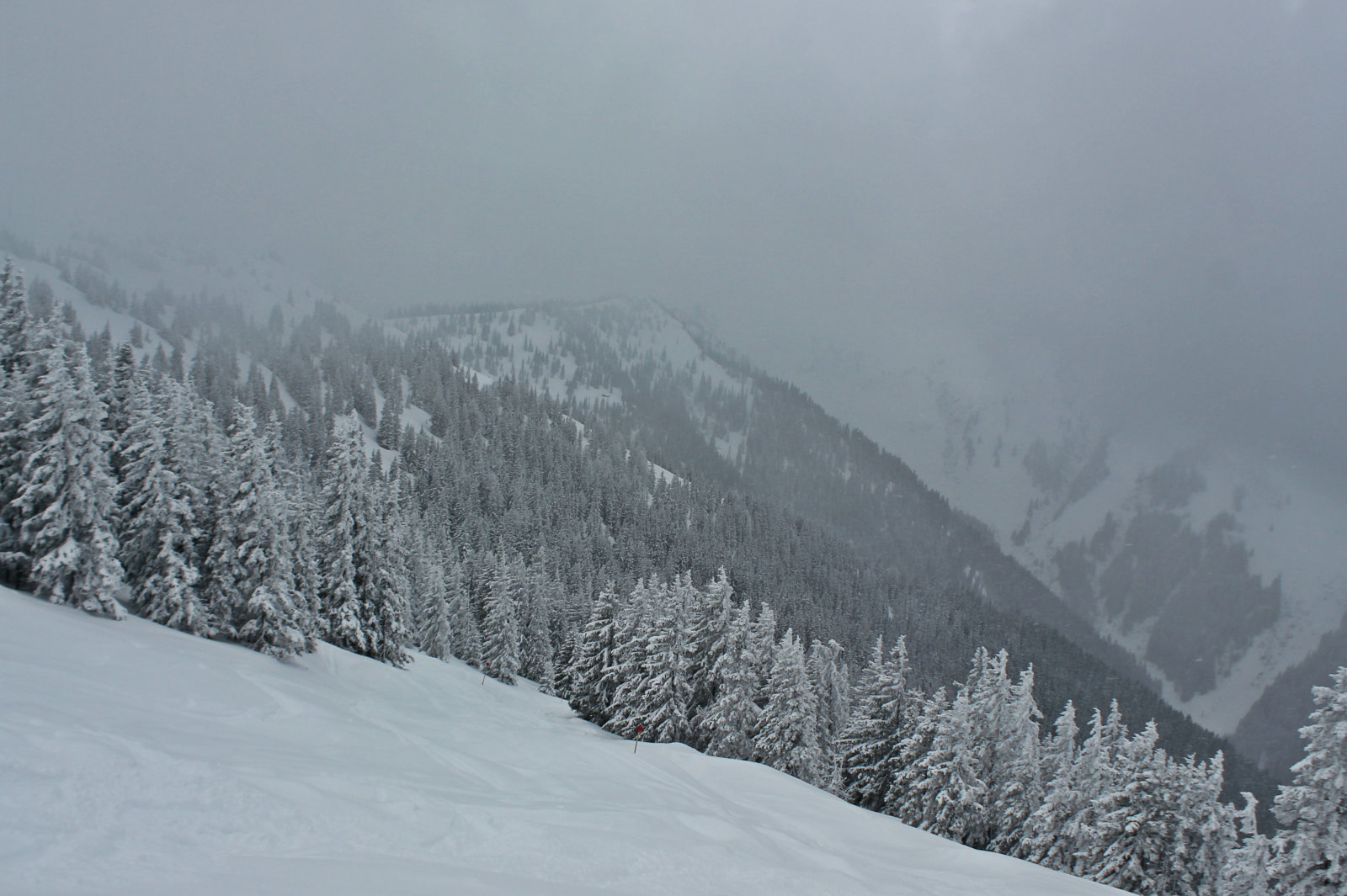 A freeride útvonal felső szakasza