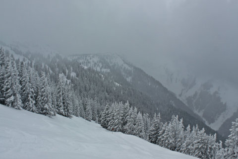 A freeride útvonal felső szakasza