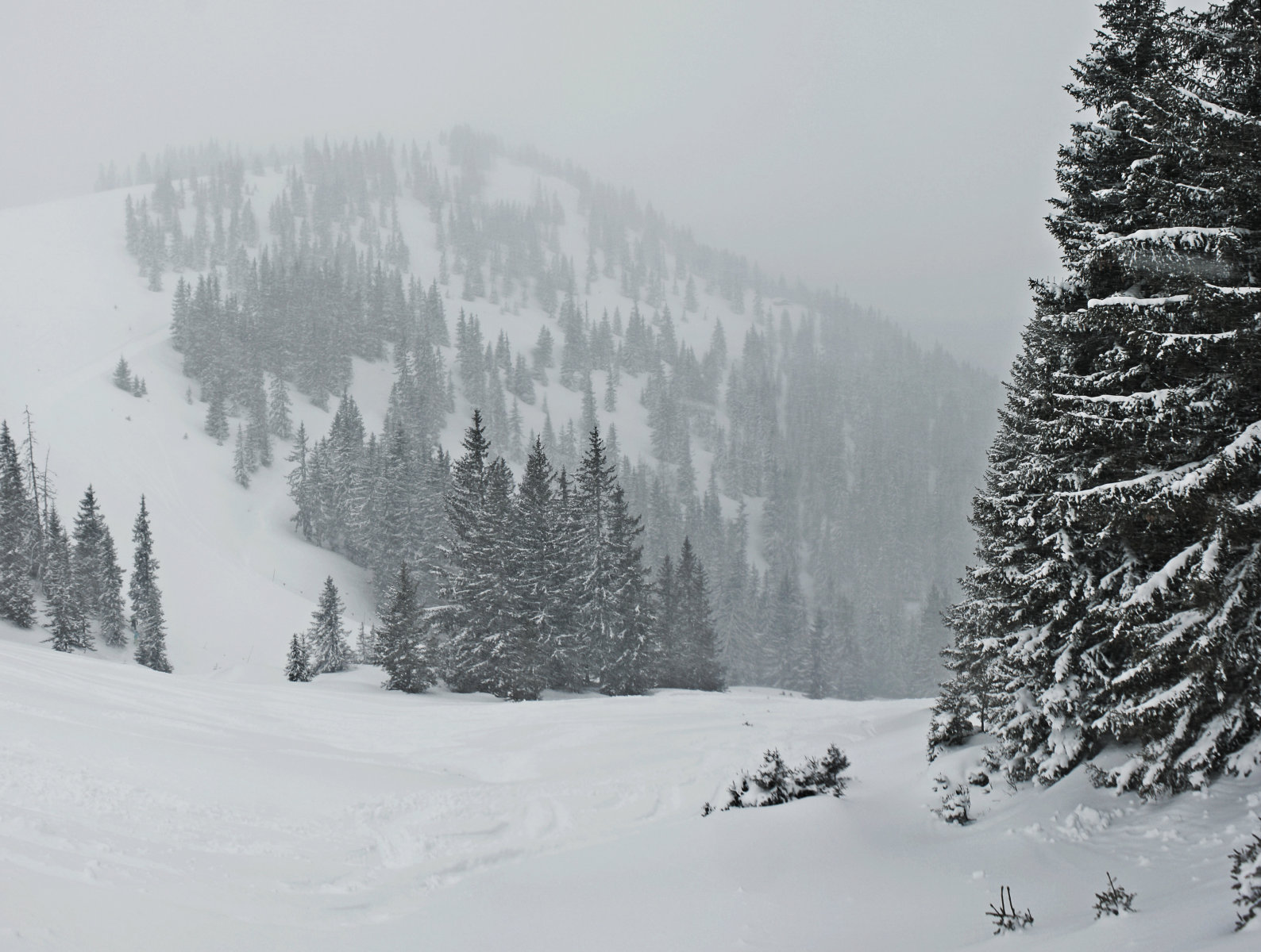 Az északi oldal, ott szemben a Hahnkopf csákányos melletti erdő