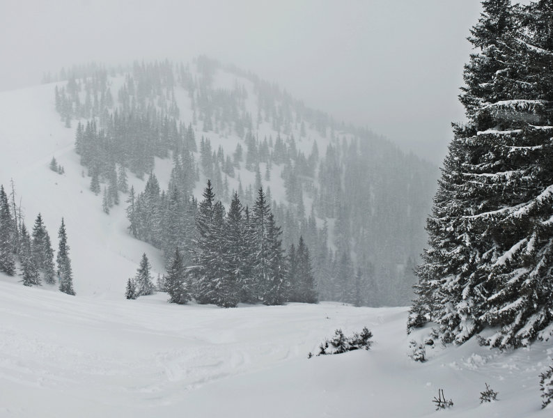 Az északi oldal, ott szemben a Hahnkopf csákányos melletti erdő - Kattints a képre a nagyításhoz