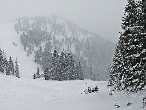 Az északi oldal, ott szemben a Hahnkopf csákányos melletti erdő