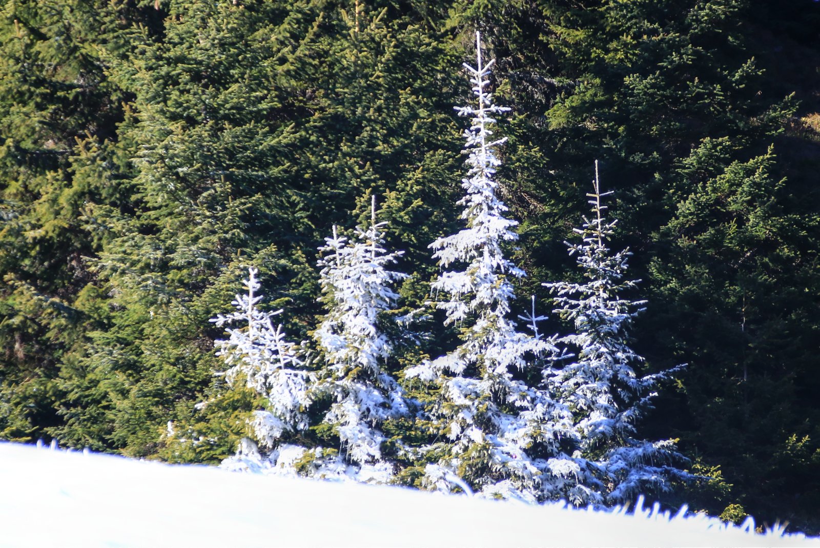 Karácsonyi hangulat :)